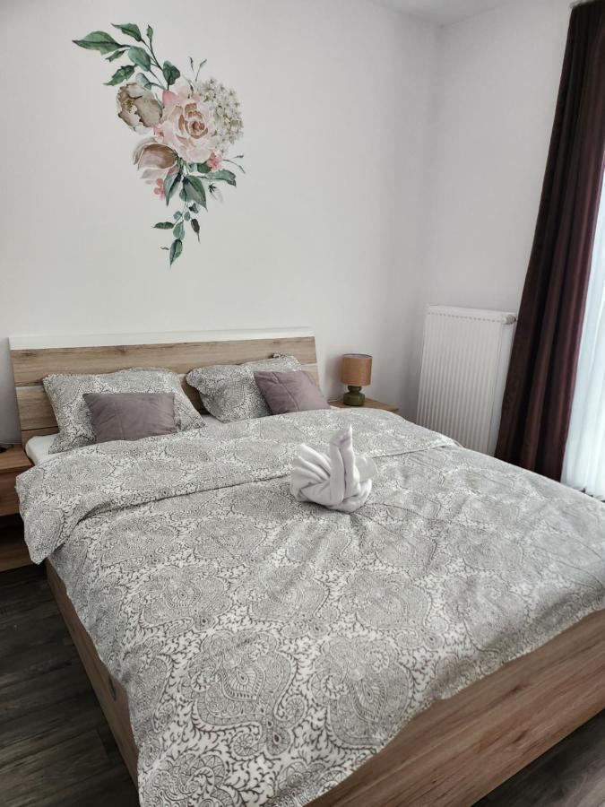 Armina'S Residence Dumbravita  エクステリア 写真