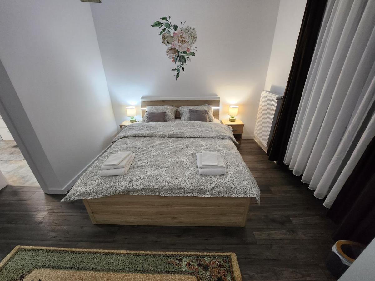 Armina'S Residence Dumbravita  エクステリア 写真