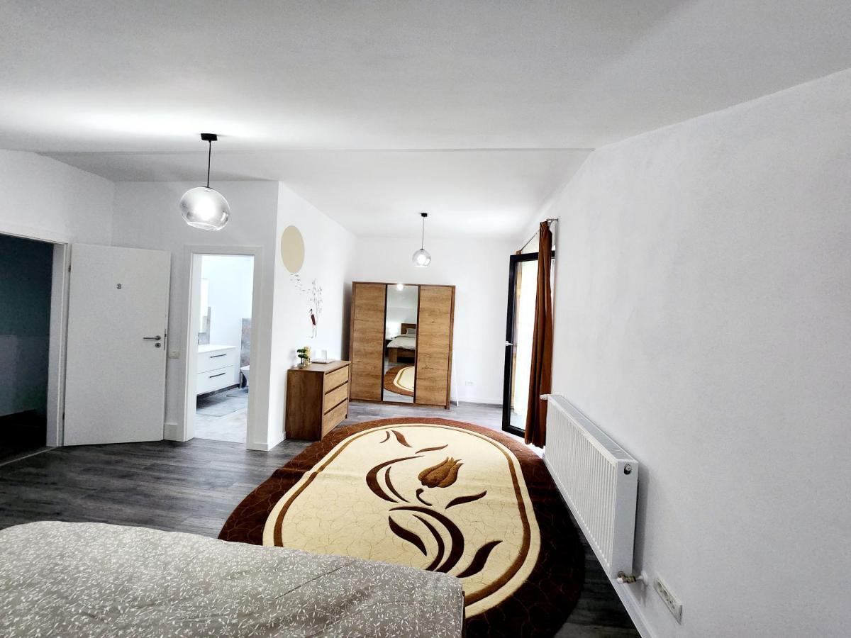 Armina'S Residence Dumbravita  エクステリア 写真