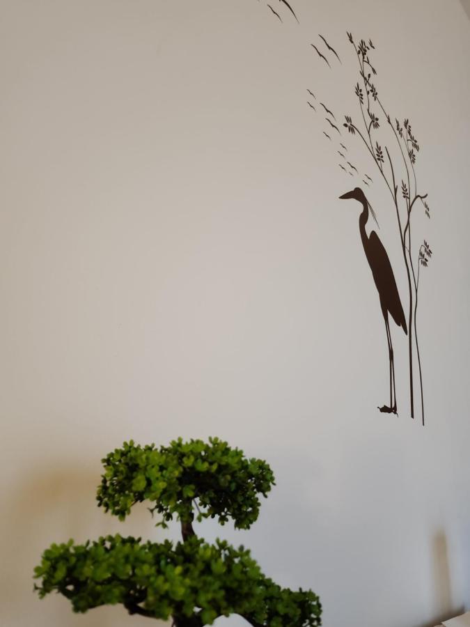 Armina'S Residence Dumbravita  エクステリア 写真