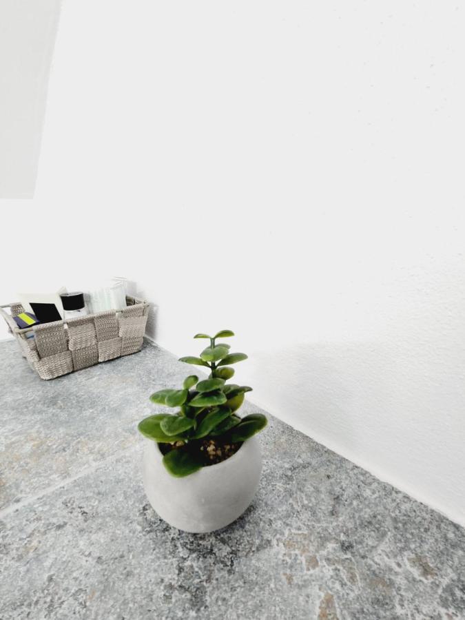 Armina'S Residence Dumbravita  エクステリア 写真