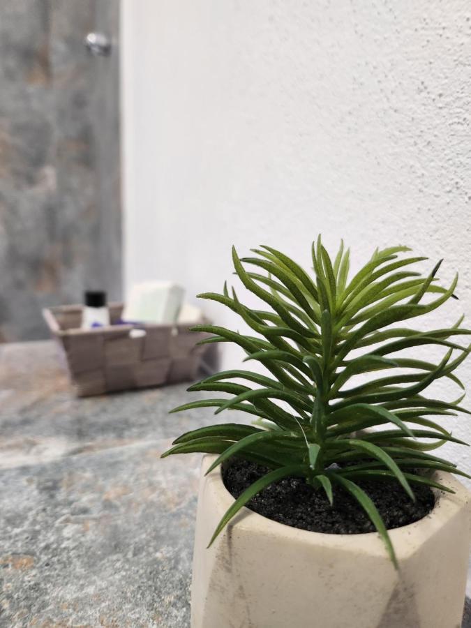 Armina'S Residence Dumbravita  エクステリア 写真